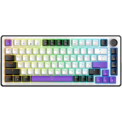 Клавіатура Hator Hellyberry HK75 Mechanical Linear RGB USB UA Black White