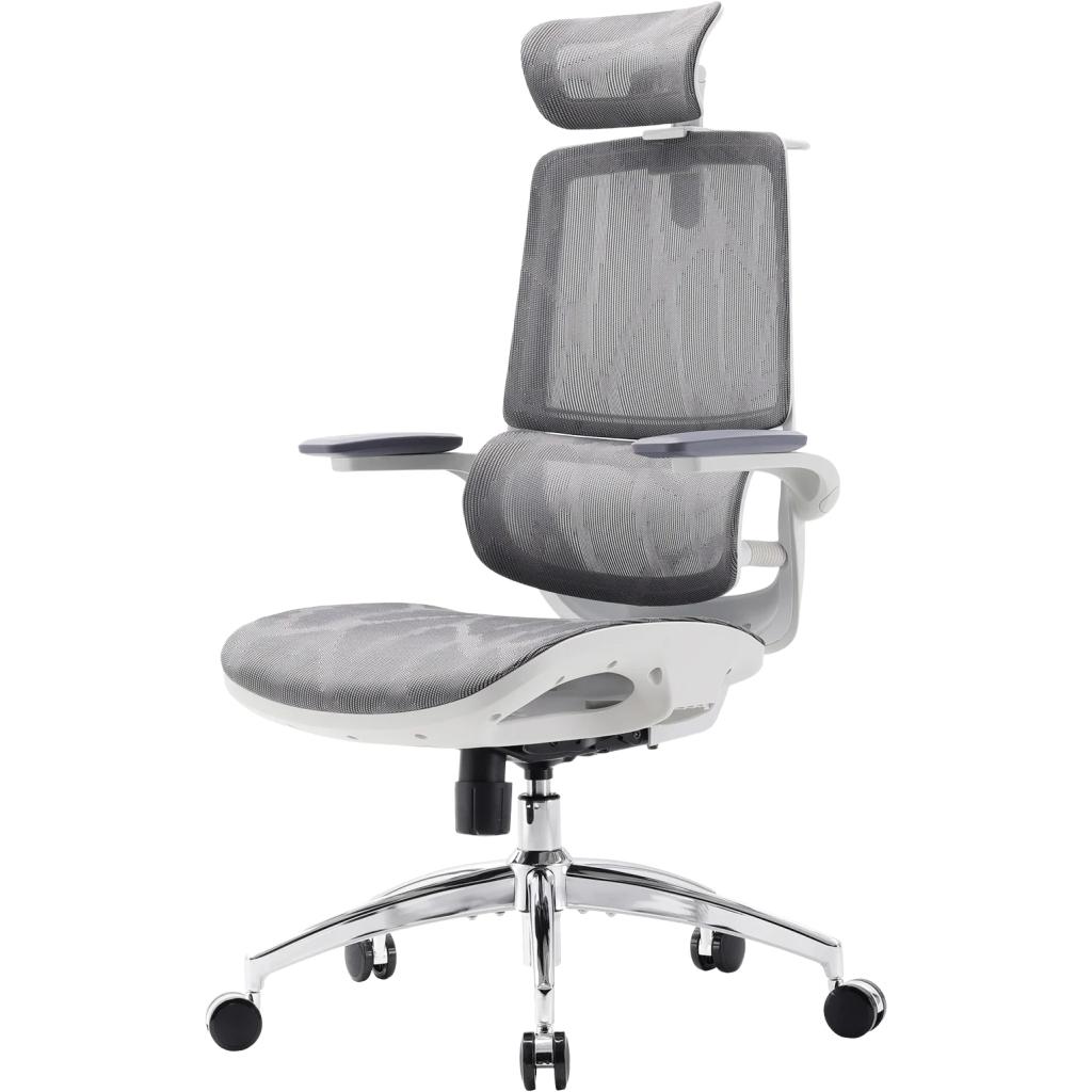 Офісне крісло Sihoo M59AS Mesh Gray (M59AS-M301)