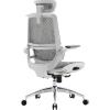 Офісне крісло Sihoo M59AS Mesh Gray (M59AS-M301)