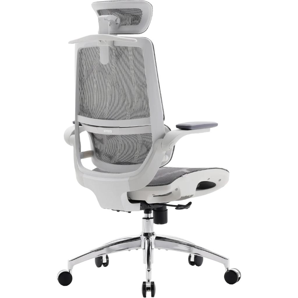 Офісне крісло Sihoo M59AS Mesh Gray (M59AS-M301)
