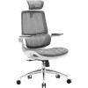 Офісне крісло Sihoo M59AS Mesh Gray (M59AS-M301)