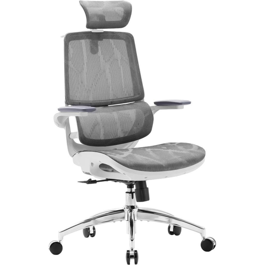Офісне крісло Sihoo M59AS Mesh Gray (M59AS-M301)