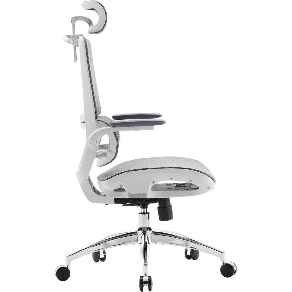Офісне крісло Sihoo M59AS Mesh Gray (M59AS-M301)