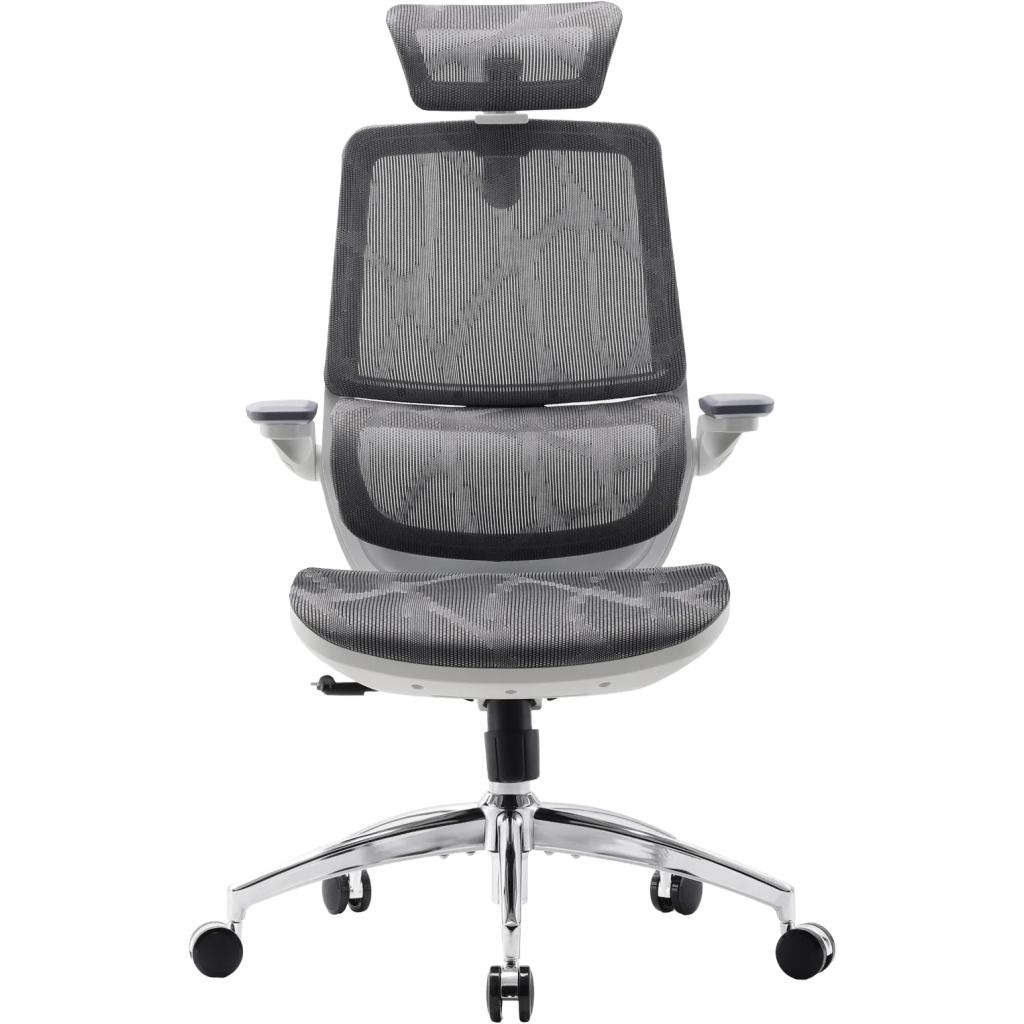 Офісне крісло Sihoo M59AS Mesh Gray (M59AS-M301)
