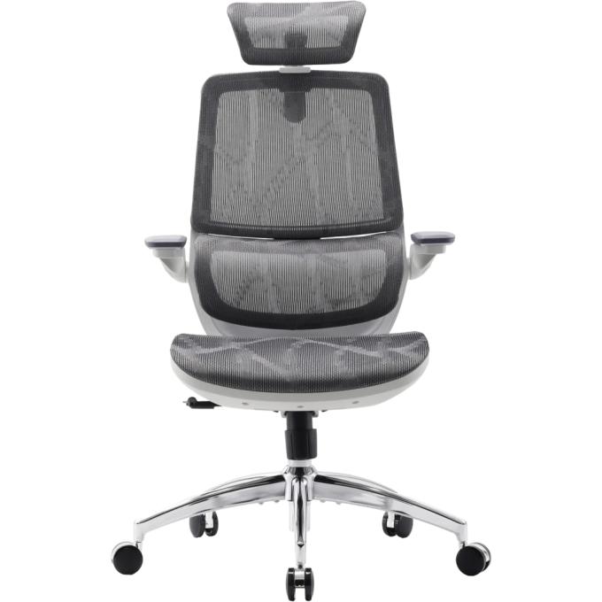 Офісне крісло Sihoo M59AS Mesh Gray (M59AS-M301)